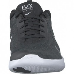 Baskets Nike Flex Experience Run 8 pour hommes