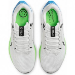 Chaussures de course sur route Nike Pegasus 40 pour homme (extra larges) (DV7480-006, teinte platine/blanc/vert/noir)